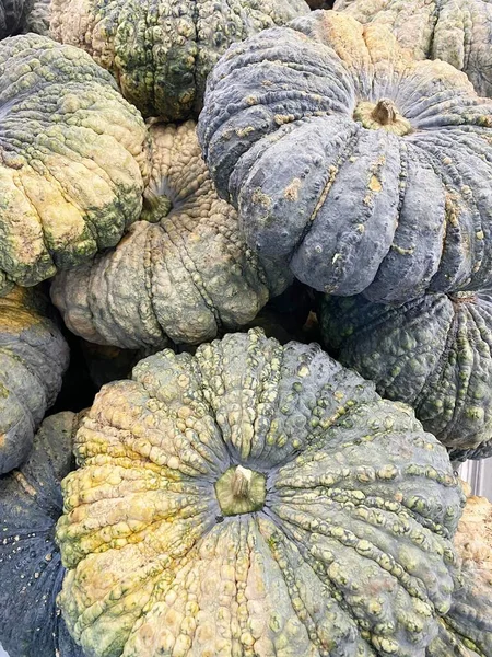 Markette balkabağı meyvesini kapatın.