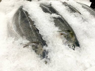 Gıda pazarında taze balık