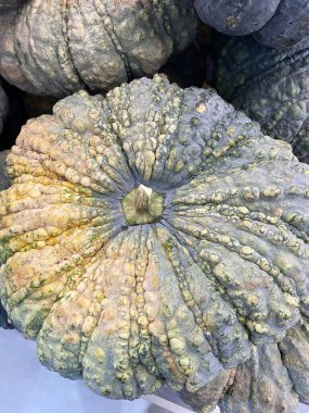 Markette balkabağı meyvesini kapatın.