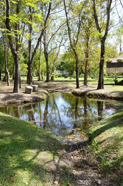 Jardín Natural Bangkok Tailandia — Foto de Stock