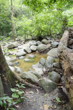 Bang Phra 'da Chanta Şelalesi, Sriracha, Chonburi, Tayland.