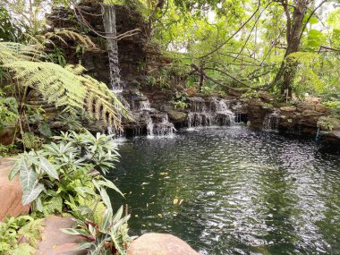 Şelale, doğa bahçesinde yapay.