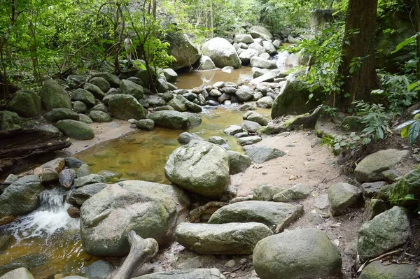 Naturwald Land Thailand — Stockfoto