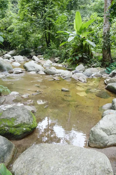 Bosque Natural País Tailandia — Foto de Stock