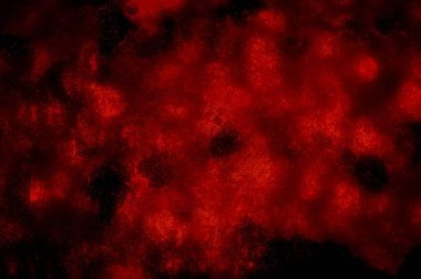 Soyut arkaplanın grunge kırmızı rengi