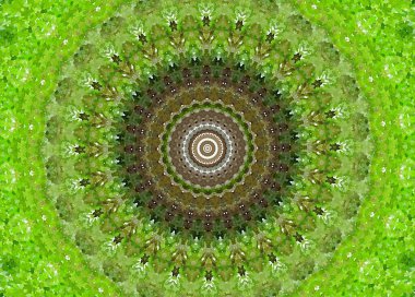 soyut arkaplanın yeşil rengi