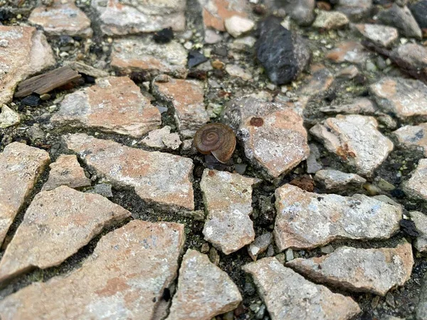 Close Broken Cement Floor Texture — Stock Photo, Image