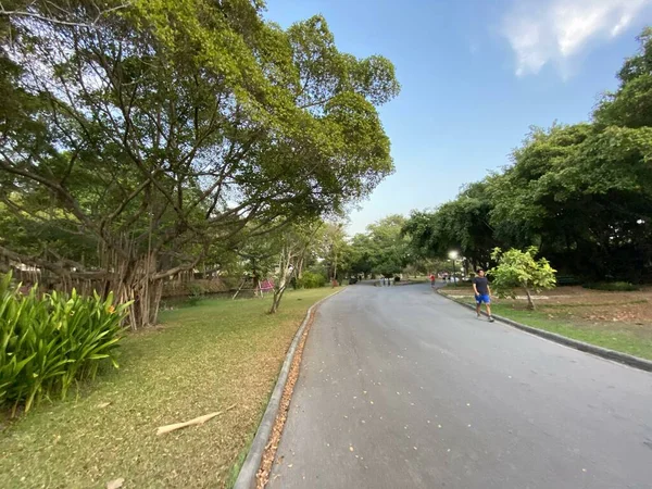 Primer Plano Pasarela Jardín Naturaleza — Foto de Stock