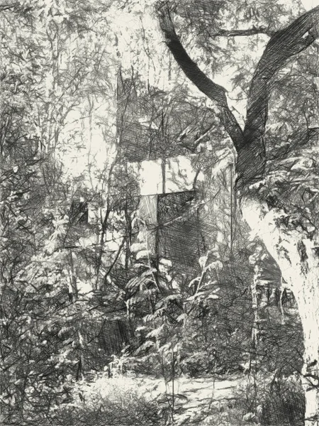 森林中荒废房屋的黑白绘画艺术 — 图库照片