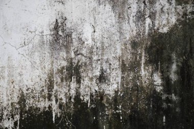 Eski beton duvar dokusunu kapat