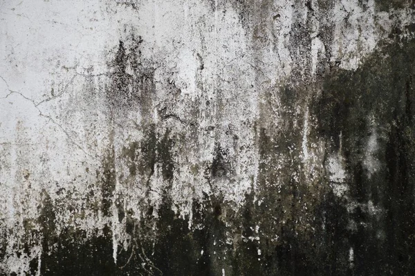 Eski beton duvar dokusunu kapat