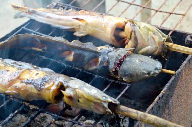 Yakından yayın balığı mangal kömürüyle kızartılır.