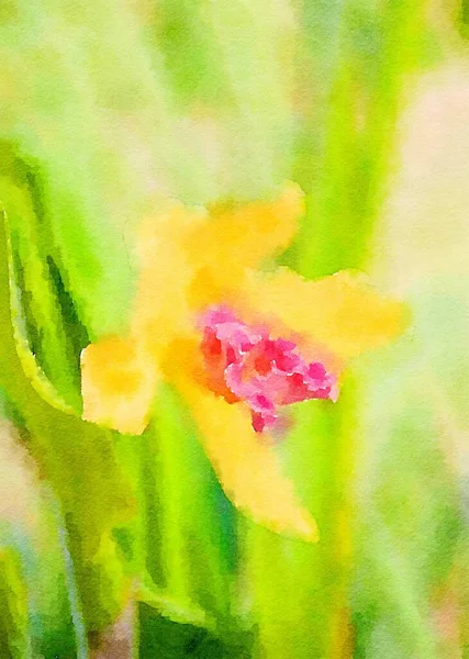 Aquarell Der Orchideenblume — Stockfoto