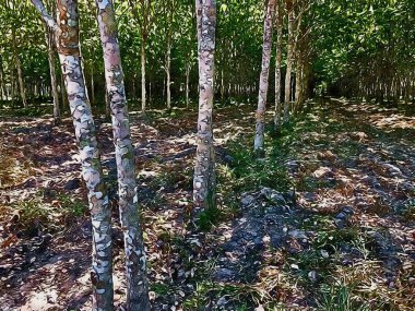 Ormanın arka kısmının sanat rengi