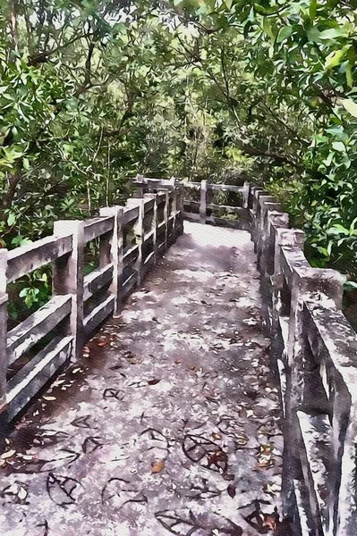 Arte Desenho Cor Caminho Floresta — Fotografia de Stock