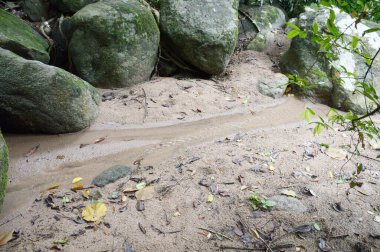 Tayland 'daki şelaleyi kapatın.