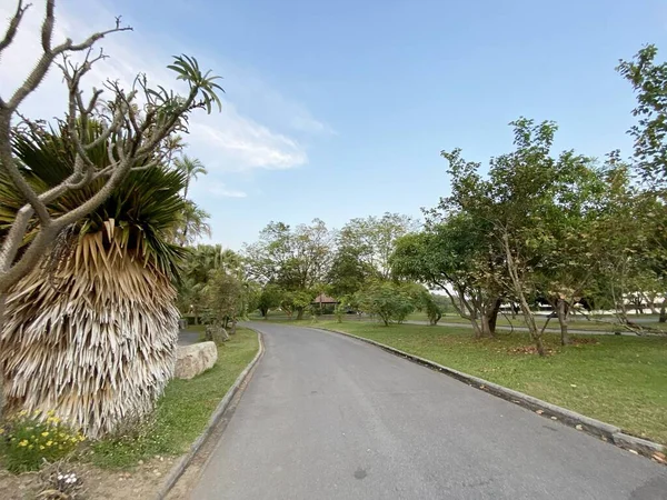 Vicino Passerella Nel Giardino Naturale — Foto Stock