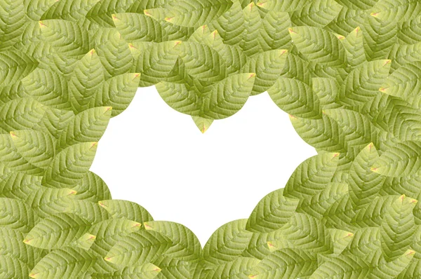 Серце листя фону — стокове фото
