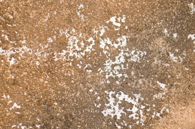 grunge dirty cement wall texture background