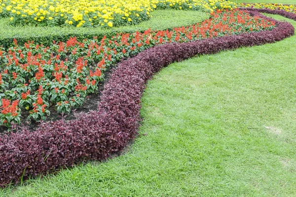 Bellissimo giardino fiorito — Foto Stock