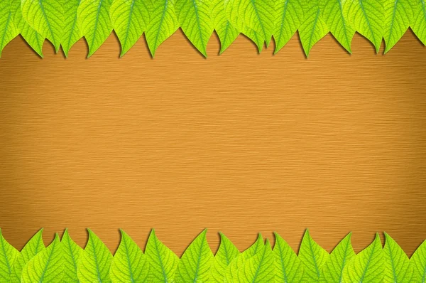 Green leaves on wooden wall — Stock Photo, Image