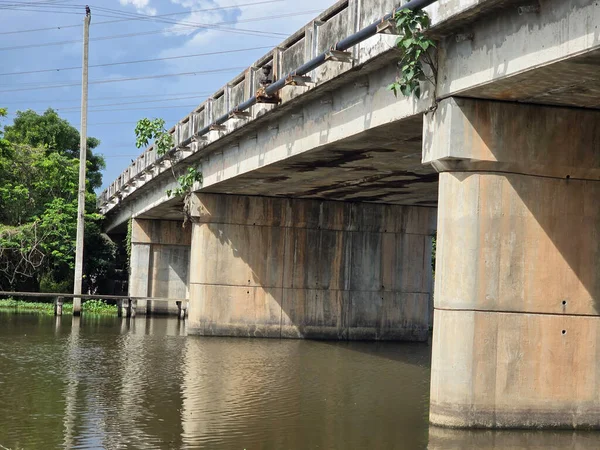 Nehirde yeşil ağaçlı beton köprü