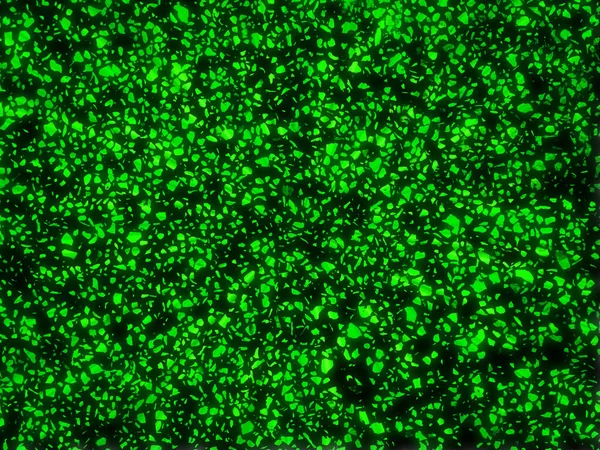 siyah zemin üzerine yeşil bokeh.