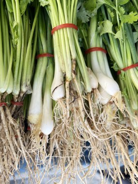 Piyasada taze soğan