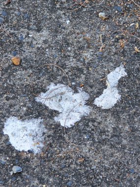 bird drop on cement floor