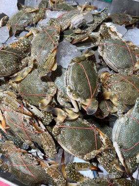 Yengeç deniz ürünleri pazarda