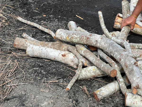 Yığınla yakacak odun..