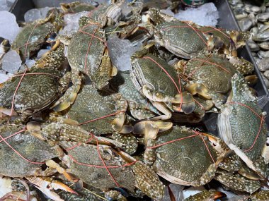 Tayland 'daki markette satılık taze yengeç.