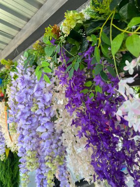 Bahçedeki güzel çiçekler