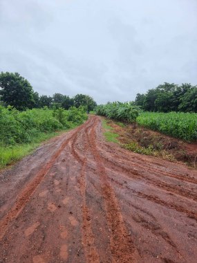 Kırsal alanlarda boş toprak yol