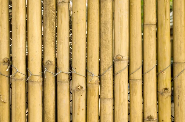Parede de madeira de bambu — Fotografia de Stock