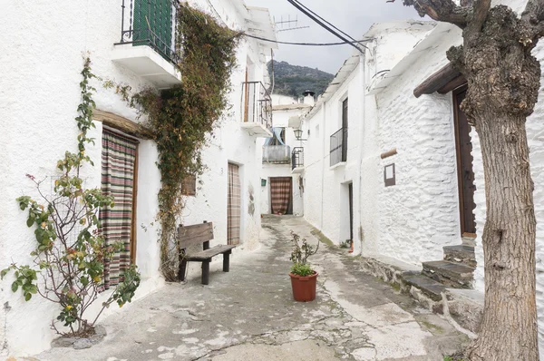 Kırsal köy. Capileira İspanya.