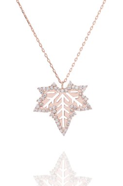 E-ticarette kolye satışı resmi. Online satış resimleri. Beyaz arkaplanda gümüş kolye. 