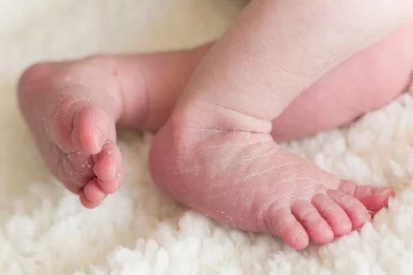 Pés de bebê recém-nascidos em um cobertor — Fotografia de Stock