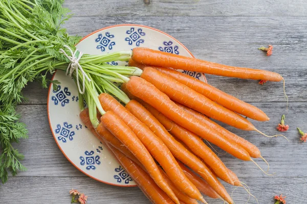 Carrots — Stock Photo, Image