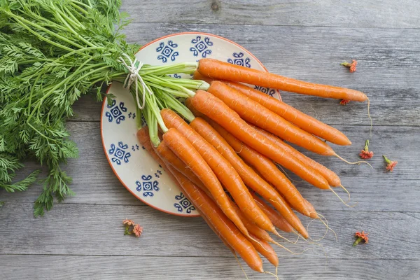 Carrots — Stock Photo, Image