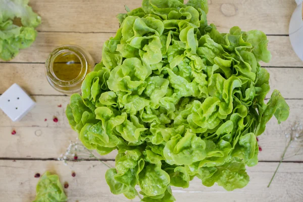 Lettuce — Stock Photo, Image