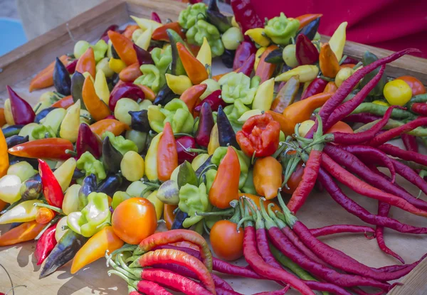 Variedad de pimientos coloridos — Foto de Stock