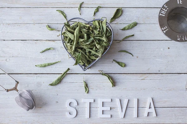 Stevia — Stock fotografie