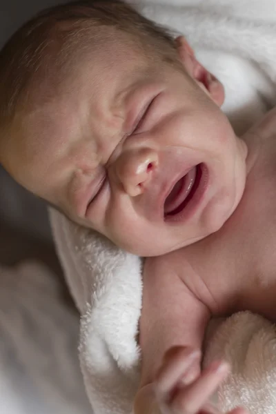 Newborn baby portrait — Stock Photo, Image