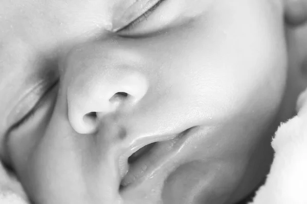 Pasgeboren baby portret — Stockfoto