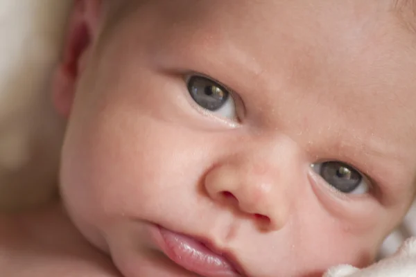 Retrato de bebé recién nacido — Foto de Stock