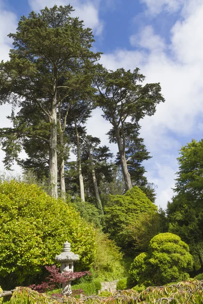 Japansk te trädgård — Stockfoto