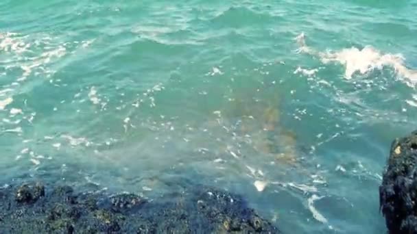 Deniz dalgaları Breaking — Stok video