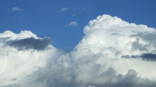 Плавающие белые облака против голубого неба — стоковое видео