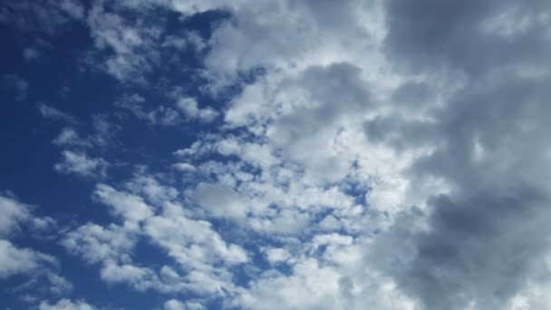 Nuvens brancas flutuantes contra o céu azul — Vídeo de Stock